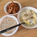 아침마다 일어나기 힘들어진 에찌의 일상 2025년 4월(중)