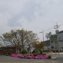 화남면보건지소 이미지