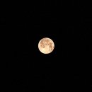 Fly Me to the Moon 이미지