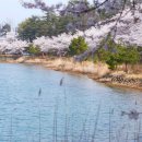 영랑호 카누경기장 이미지