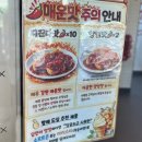 또래오래(마석점) | 롯데리아 디진다돈까스, 디진다맛 맵기 가격 후기