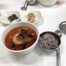 일상 : 강릉여행