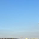 바다창고 | 보령 굴구이 맛집 천북굴단지 바다수산창고 굴찜에 해물라면까지🤍