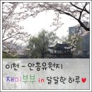 안흥유원지 이미지