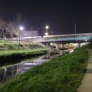 시장교2 이미지