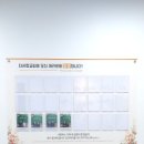 표선디자인 이미지