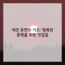 애견스토리 이미지