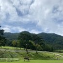 우성목장 2 이미지