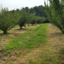 천상 농장 이미지