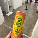 오렌지마켓 - 서초구 | 성수 MBN 오렌지스퀘어 팝업 사전예약 방문후기