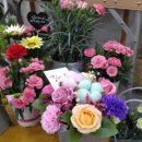 뉴경남약국 이미지