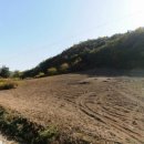 일류공인중개사사무소 이미지