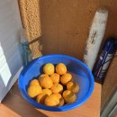 제주혁이네해장국 이미지