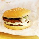 새사당의원 이미지