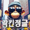 킬라몽키즈 이미지