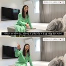 수종합인테리어 이미지
