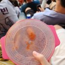 이가네주막 이미지