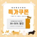 에르펫츠 강아지분양 고양이분양 다산점 이미지