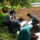 용일농장 이미지