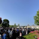 GOGO PC 게임랜드 이미지