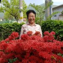 영천횟집 이미지