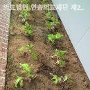 의료법인 연송의료재단 제2신창요양병원 이미지