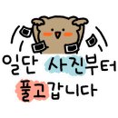 디바인독(DIVINE DOG) 네이버블로그