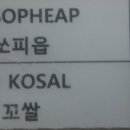 일조농장 이미지