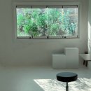 기록 | 용산스튜디오 예즈 스튜디오에서 프로필사진 기록한 후기