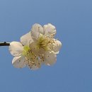 원동마을길 이미지