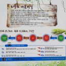 2012년 6월 10일 (일) 춘천 봄내길 5코스 '소양호 나룻터길' 이미지