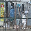 순천향대학교 부속 서울병원 이미지