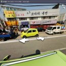 정다운 동물종합병원 이미지