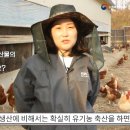 청오농장 이미지