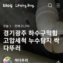 다뚜러 이미지