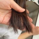 #06. [전주 매스티지헤어] - 전주 신시가지 미용실, 탈색 손상모 클리닉 후기