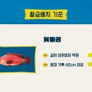 완도어부