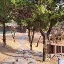 대덕경로당 건너 이미지