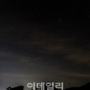 제주의별 이미지