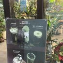 카페그린 | 배곧 숨겨진 말차 맛집 식물카페 ‘그린앤코’ 후기