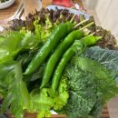 새동네생고기구이 이미지