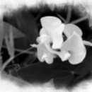 별어곡역 이미지