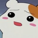 후픽 이미지