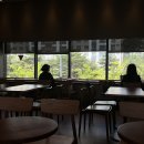 도청대로 이미지