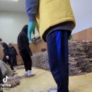 해들푸드경북