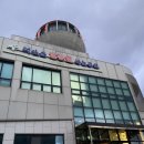 별동별