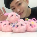 이세진 카카오 검색결과