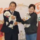 라운지펫 이미지