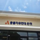 [동물자유연대 봉사] 유기묘 보호소 &#39;온캣&#39; 일일 봉사활동 후기