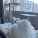 아이에프씨약국 이미지